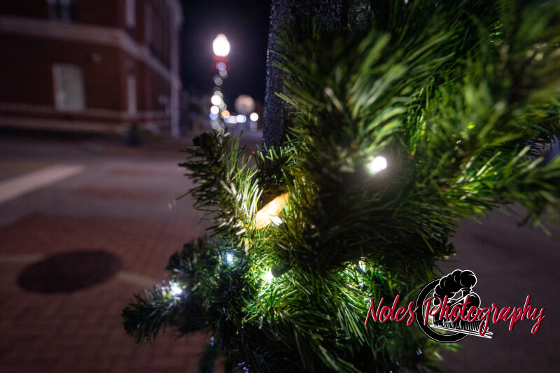 2023-Opelika-Decorations-3686