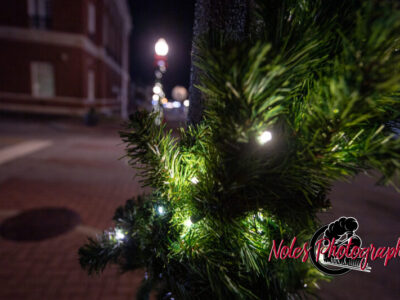 2023-Opelika-Decorations-3687