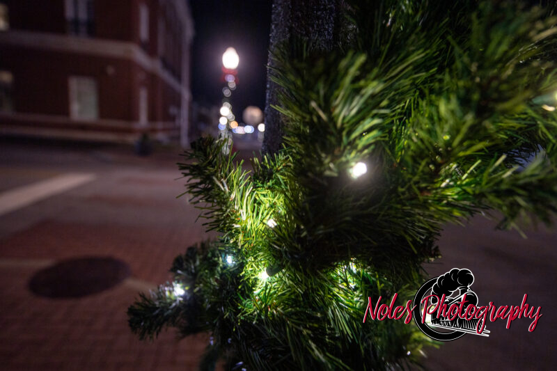 2023-Opelika-Decorations-3687