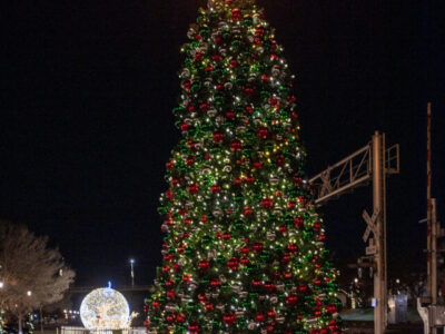 2023-Opelika-Decorations-3695