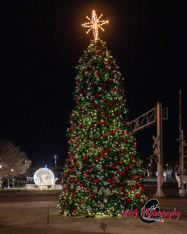 2023-Opelika-Decorations-3695