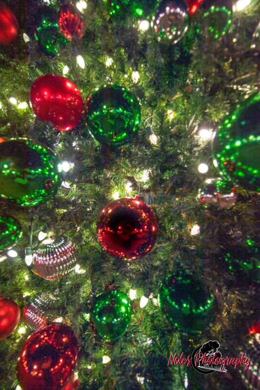2023-Opelika-Decorations-3697