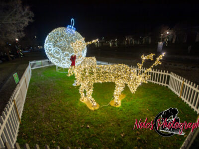 2023-Opelika-Decorations-3698