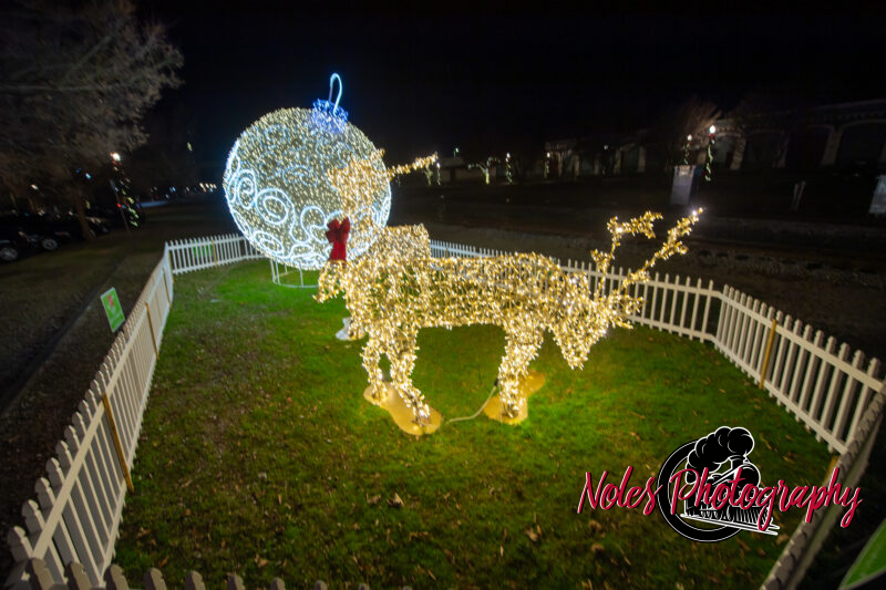 2023-Opelika-Decorations-3698