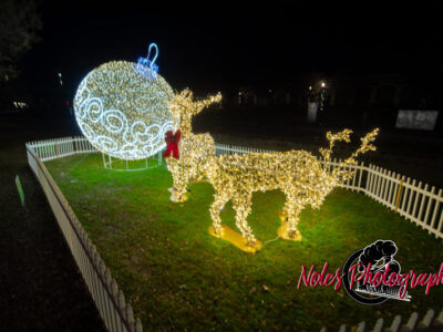 2023-Opelika-Decorations-3699