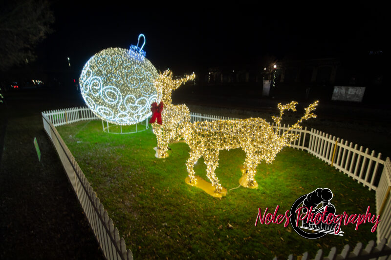 2023-Opelika-Decorations-3699