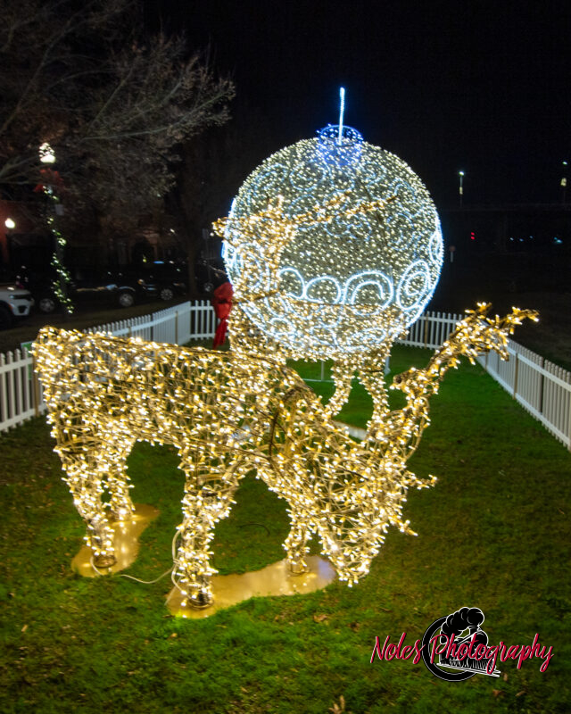 2023-Opelika-Decorations-3700