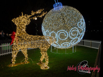 2023-Opelika-Decorations-3702