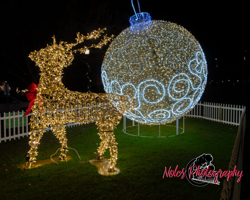 2023-Opelika-Decorations-3702