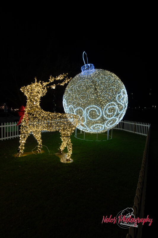 2023-Opelika-Decorations-3703