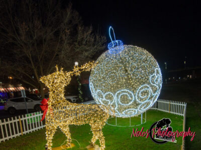 2023-Opelika-Decorations-3704