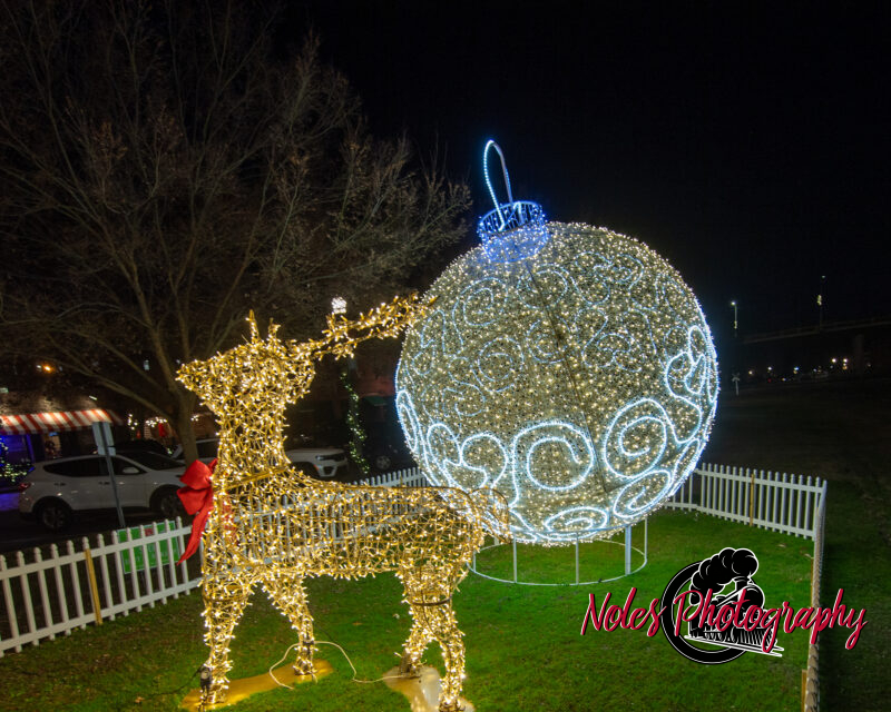 2023-Opelika-Decorations-3704