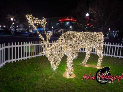 2023-Opelika-Decorations-3705