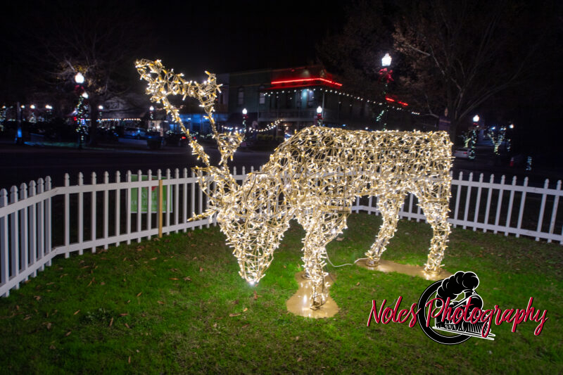 2023-Opelika-Decorations-3705