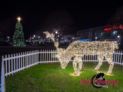 2023-Opelika-Decorations-3706