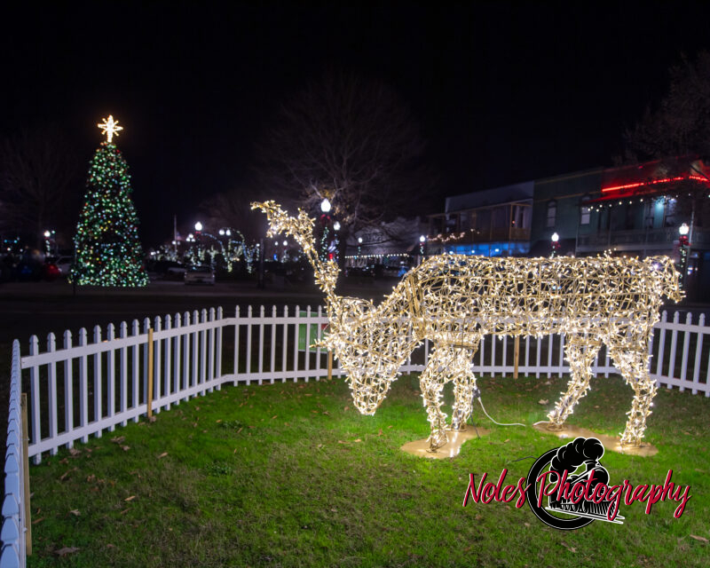 2023-Opelika-Decorations-3706