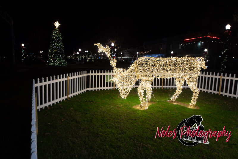 2023-Opelika-Decorations-3707