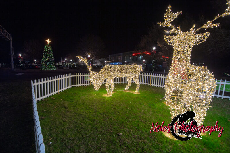 2023-Opelika-Decorations-3708