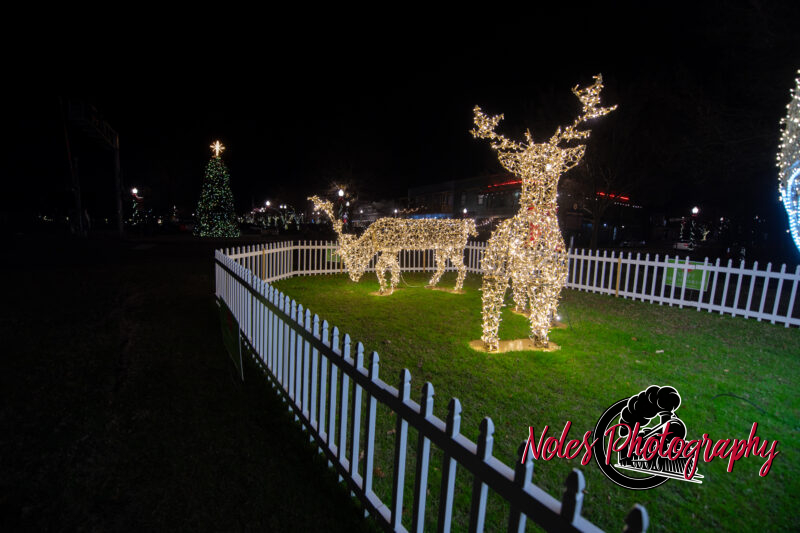 2023-Opelika-Decorations-3709