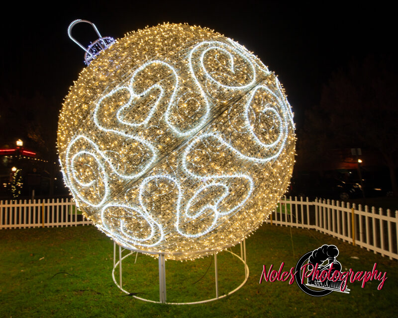 2023-Opelika-Decorations-3710