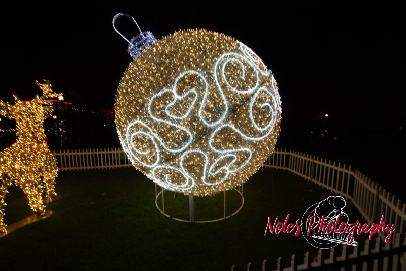 2023-Opelika-Decorations-3712