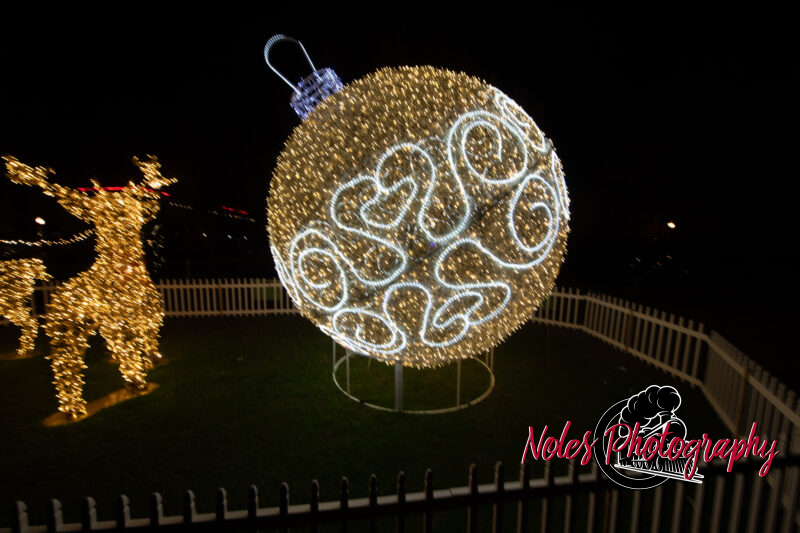 2023-Opelika-Decorations-3713