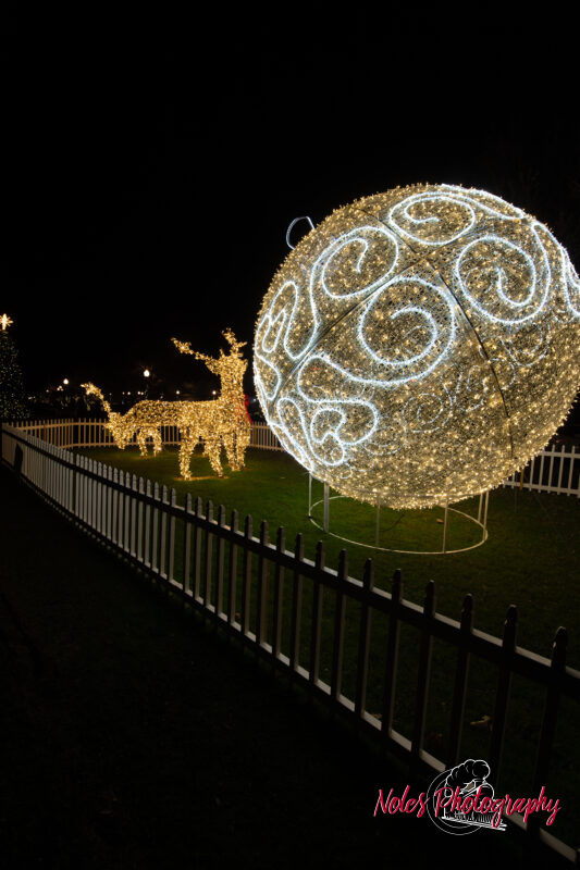 2023-Opelika-Decorations-3714