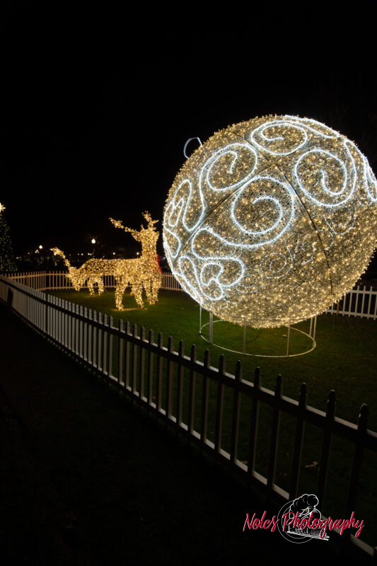 2023-Opelika-Decorations-3715