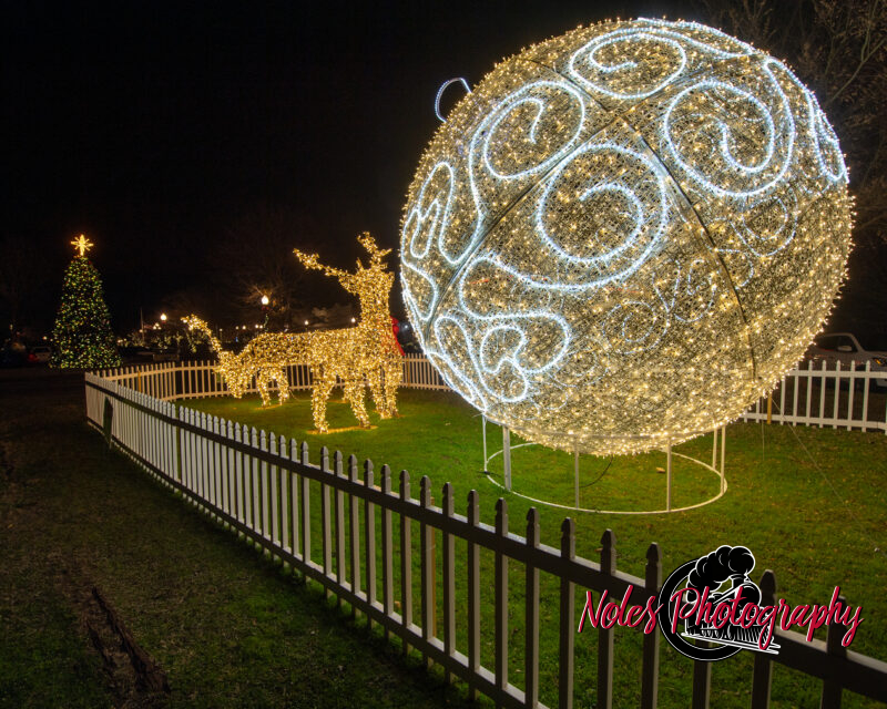 2023-Opelika-Decorations-3716
