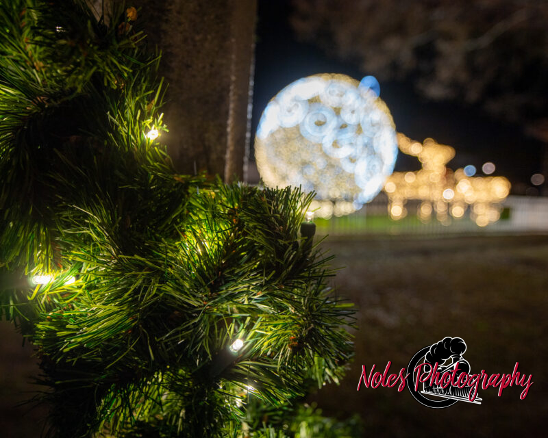 2023-Opelika-Decorations-3717