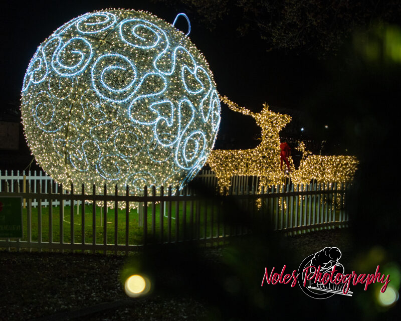 2023-Opelika-Decorations-3720