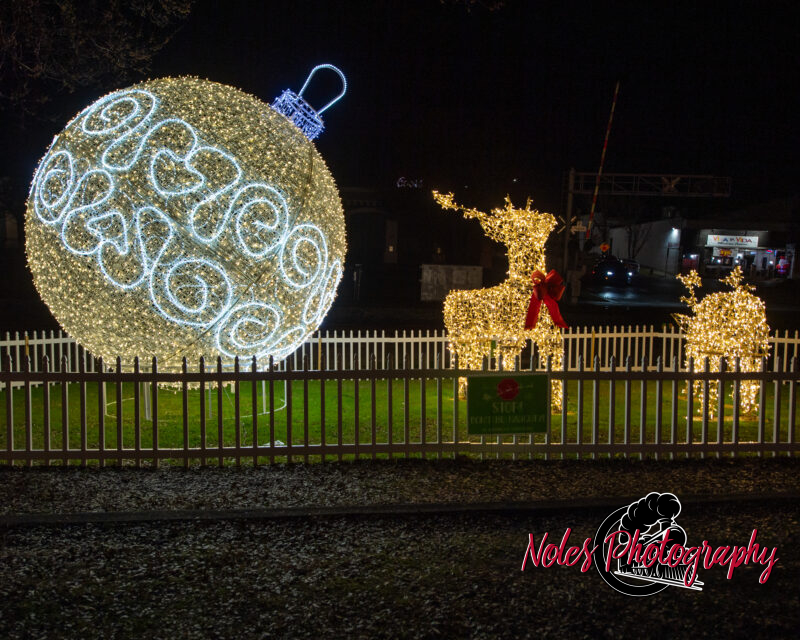 2023-Opelika-Decorations-3721