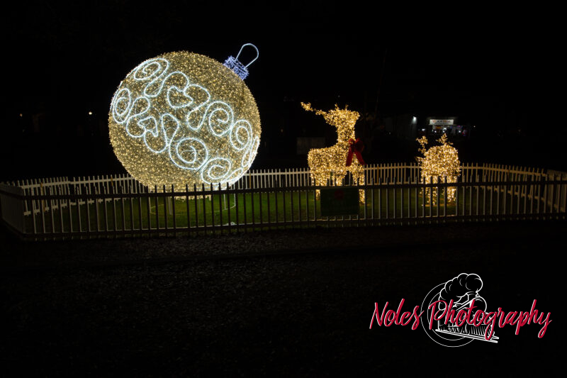 2023-Opelika-Decorations-3722