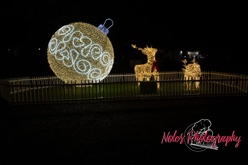 2023-Opelika-Decorations-3724