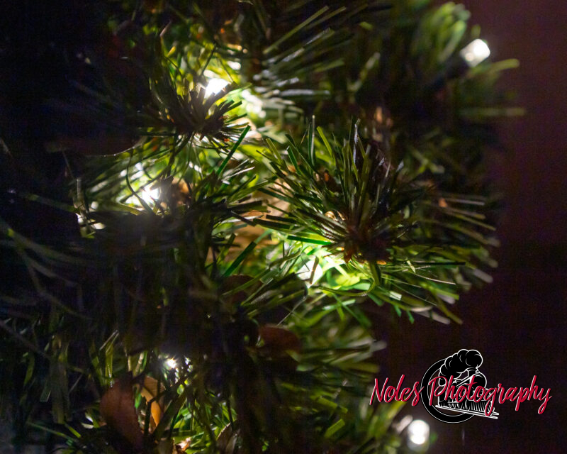 2023-Opelika-Decorations-3725