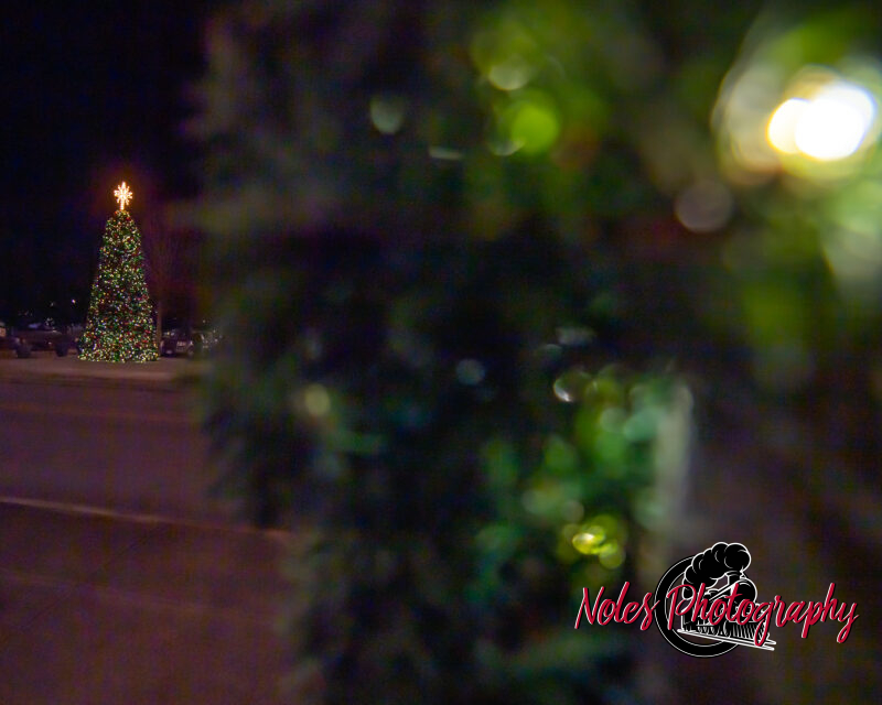 2023-Opelika-Decorations-3726