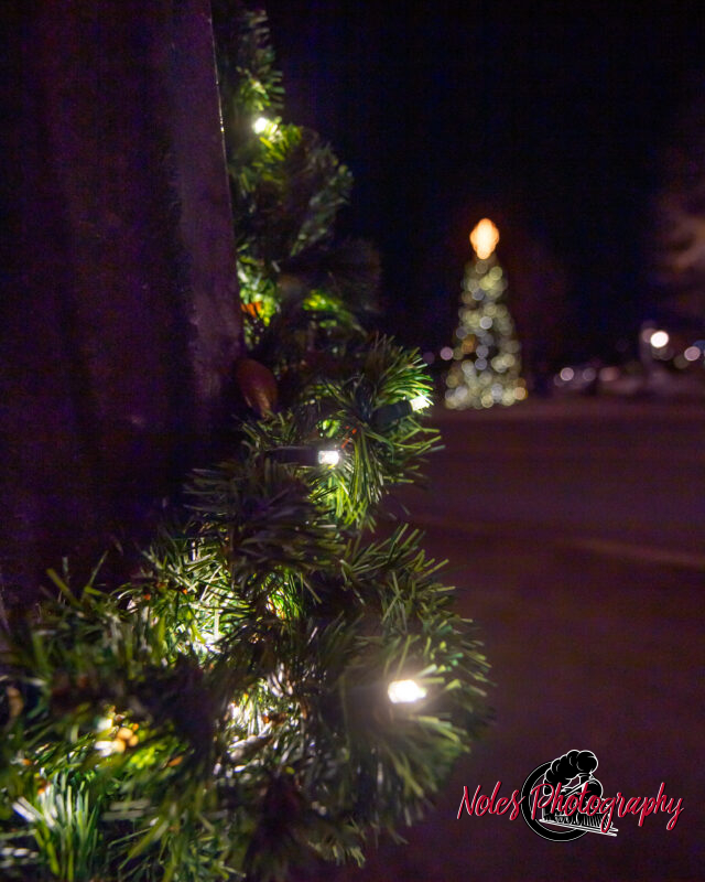 2023-Opelika-Decorations-3727