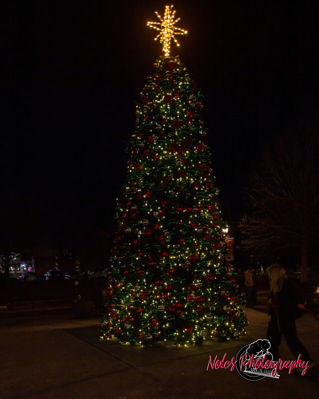 2023-Opelika-Decorations-3730