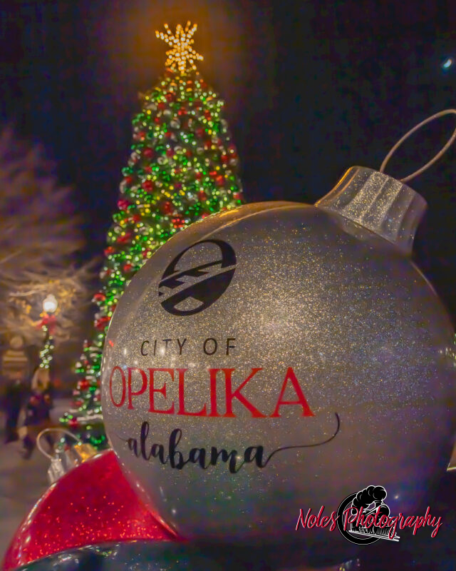 2023-Opelika-Decorations-3737