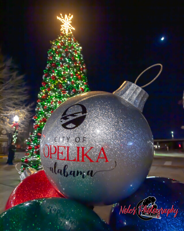 2023-Opelika-Decorations-3740