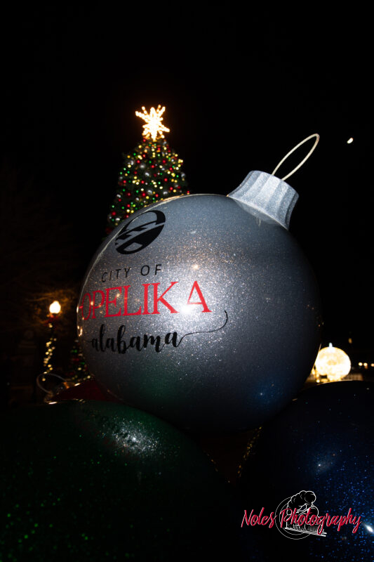2023-Opelika-Decorations-3742