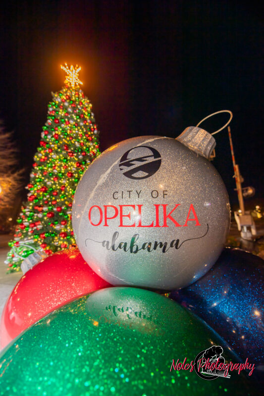 2023-Opelika-Decorations-3747