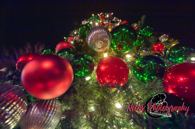 2023-Opelika-Decorations-3754