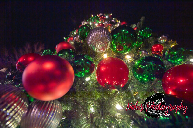 2023-Opelika-Decorations-3755