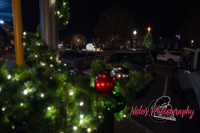 2023-Opelika-Decorations-3765
