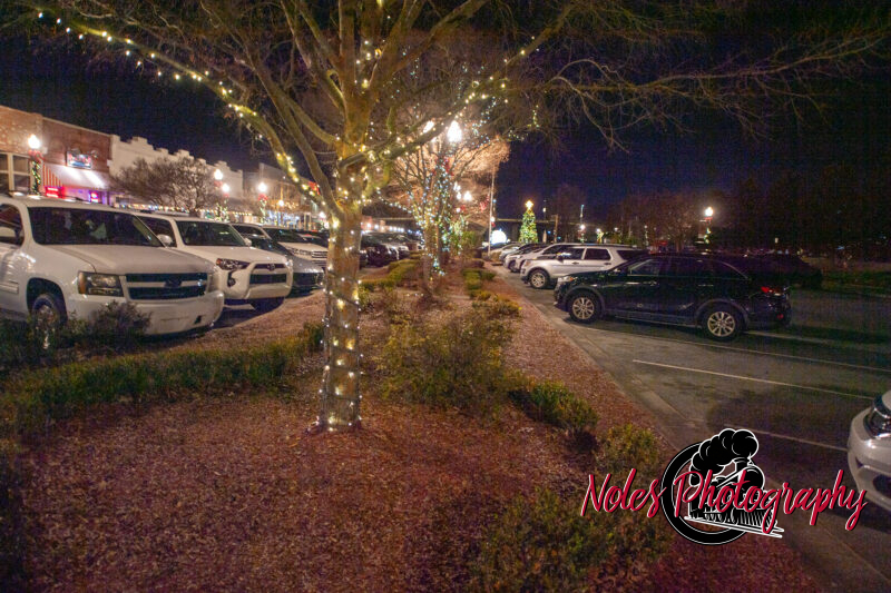 2023-Opelika-Decorations-3772