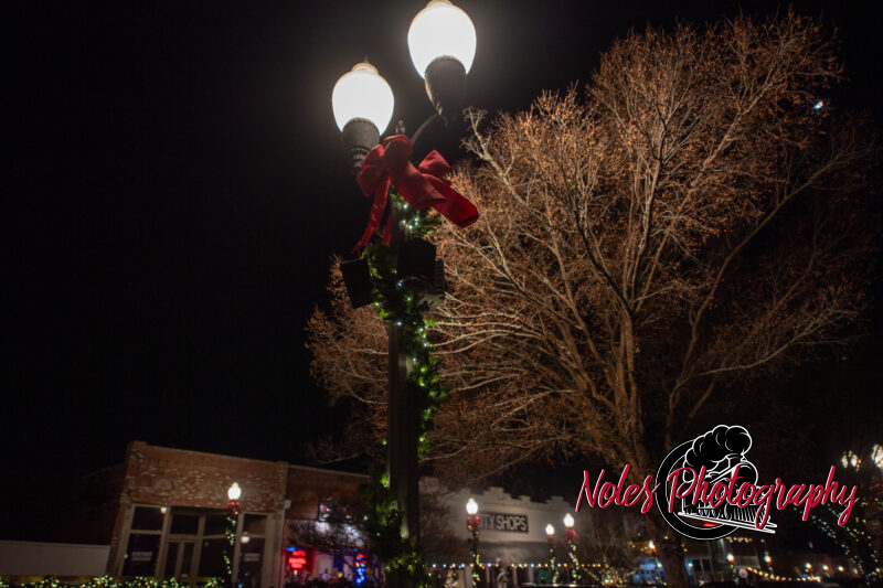 2023-Opelika-Decorations-3773