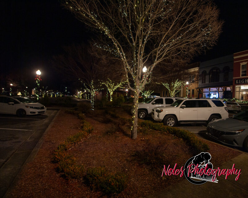 2023-Opelika-Decorations-3774