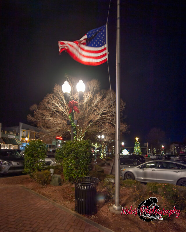 2023-Opelika-Decorations-3783