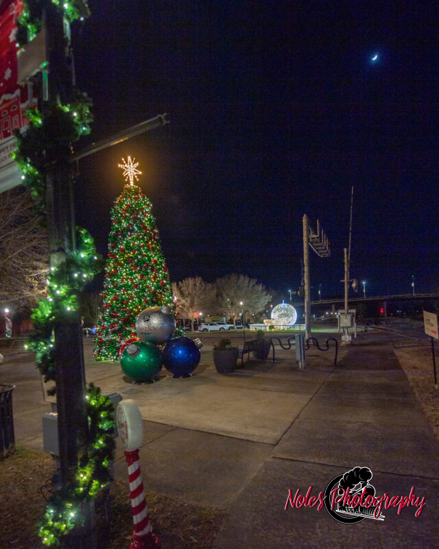 2023-Opelika-Decorations-3788